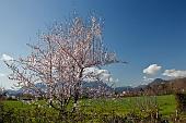 03_Ormai Š primavera